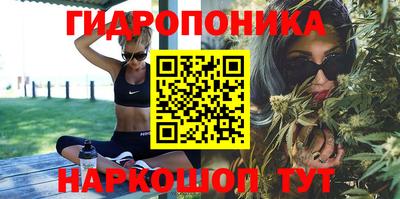 спиды Кимры