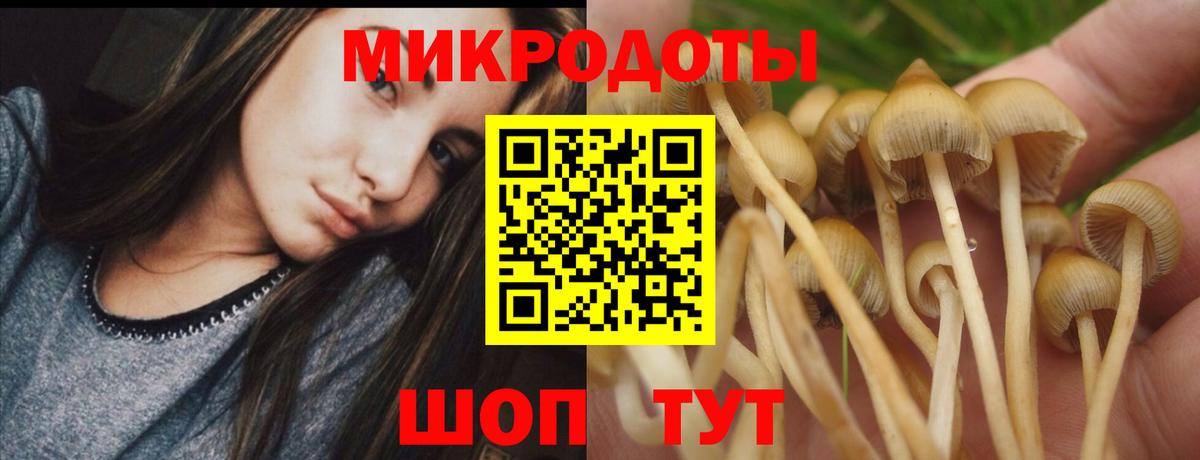 Псилоцибиновые грибы ЛСД  Вход с VPN  Новокуйбышевск  Галлюциногенные грибы Cubensis 